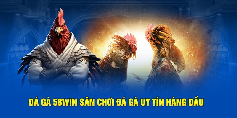 Lợi ích của việc đá gà 58WIN
