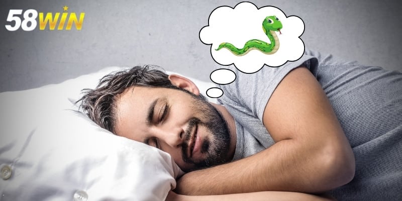 Giải Mã Giấc Mơ Thấy Rắn – Giải Mã Ý Nghĩa Cùng Những Dự Báo