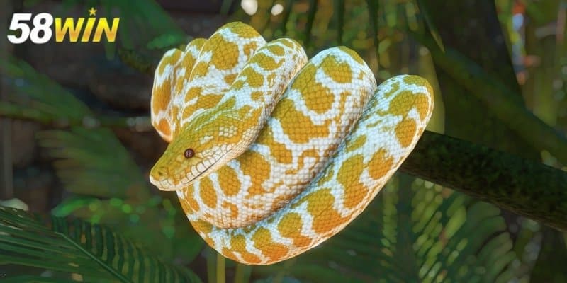 Giải mã giấc mơ thấy rắn có thể là điềm báo may mắn hoặc cảnh báo